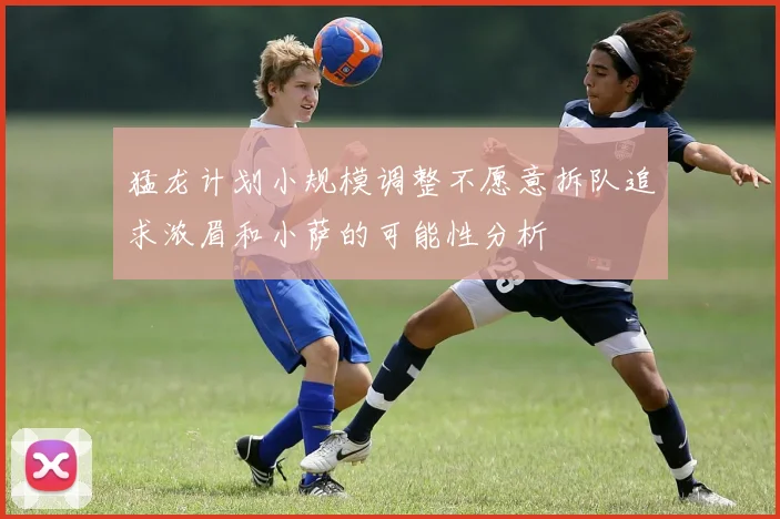 猛龙计划小规模调整不愿意拆队追求浓眉和小萨的可能性分析
